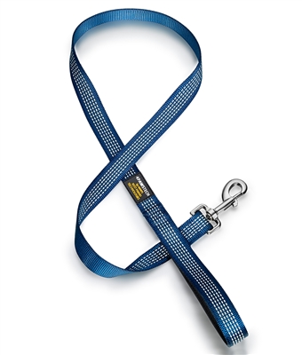 blue dog leash with reflective stitching