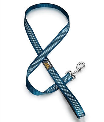 teal dog leash with reflective stitching