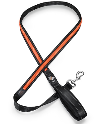 orange led dog leash