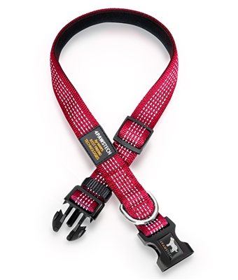 red dog collar with reflective stitching