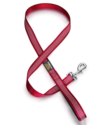 red dog leash with reflective stitching