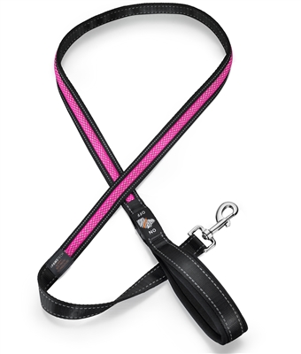 pink led dog leash