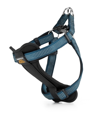 teal padded dog harness with reflective stitching