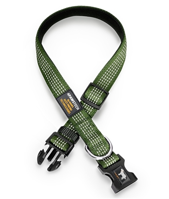 green dog collar with reflective stitching