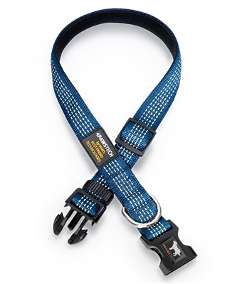 blue dog collar with reflective stitching