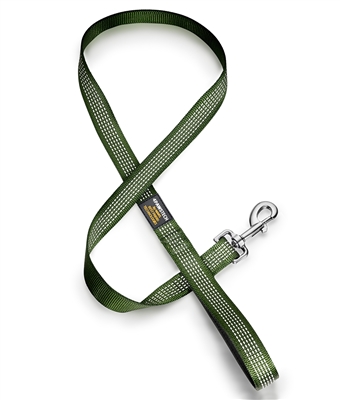 green dog leash with reflective stitching